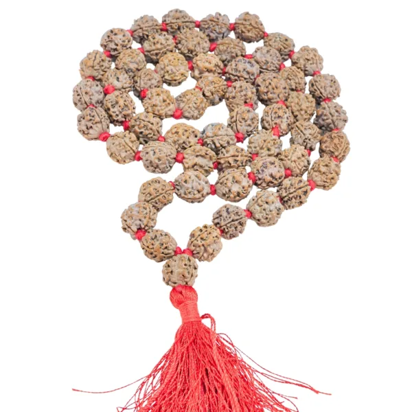 3 Mukhi Nepali Kantha (14 - 17mm) - Rudraksha Zoom Image