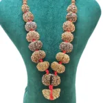 1 to 14 Mukhi Rudraksha Mala ( Siddha Mala ) - 30.3858mm - Rudraksha Zoom Image