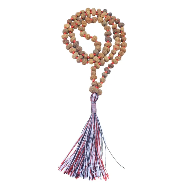 13 Mukhi Indonesian Mala - Rudraksha Zoom Image