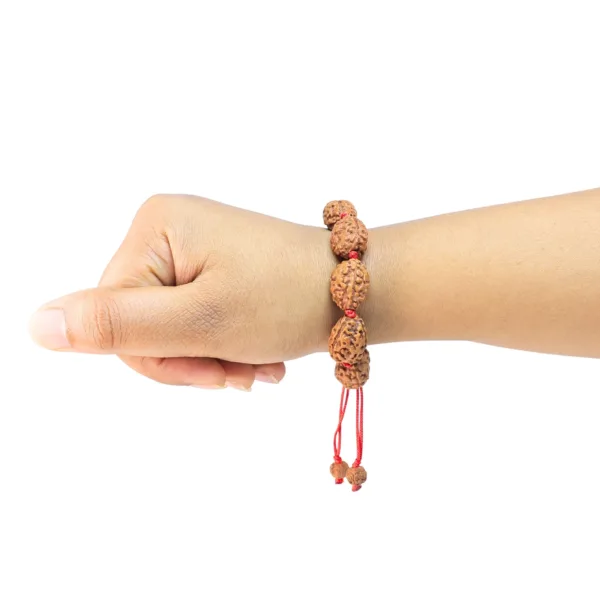 3 Mukhi Indonesian Bracelet - Rudraksha Zoom Image