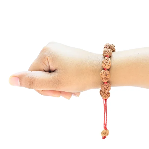 4 Mukhi Indonesian Bracelet - Rudraksha Zoom Image