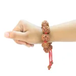 4 Mukhi Nepali Bracelet - Rudraksha Zoom Image