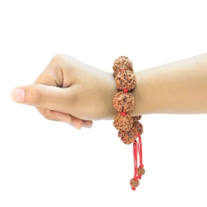 4 Mukhi Nepali Bracelet - Rudraksha Zoom Image