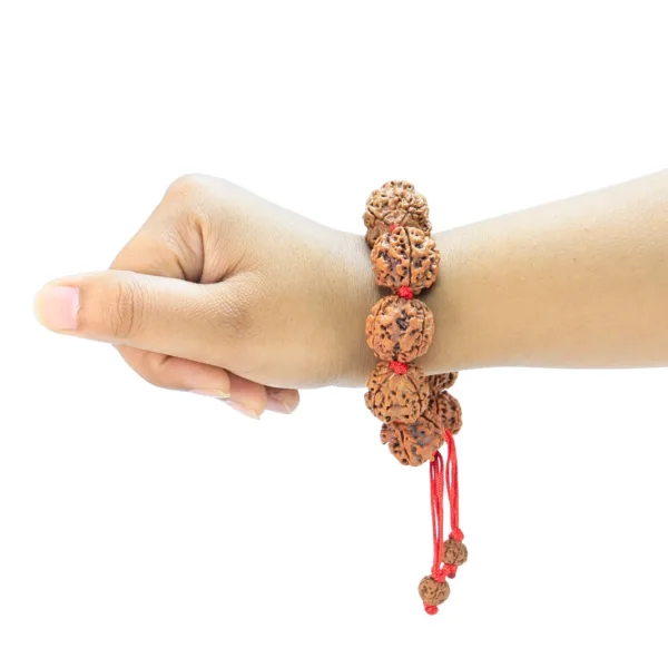 4 Mukhi Nepali Bracelet - Rudraksha Zoom Image