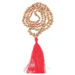 13 Mukhi Indonesian Mala - Certificate: DCL/2026/B/0259 - Rudraksha Zoom Image