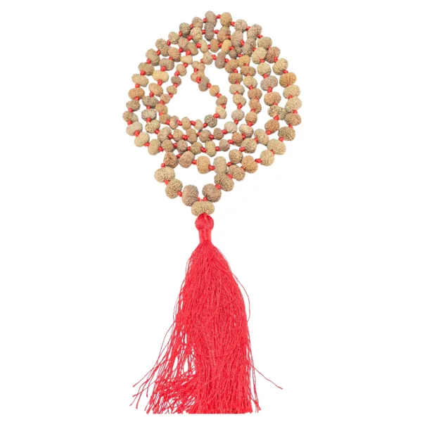 13 Mukhi Indonesian Mala - Certificate: DCL/2026/B/0259 - Rudraksha Zoom Image