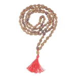 2 Mukhi Indonesian Mala (Wear) - Rudraksha Zoom Image