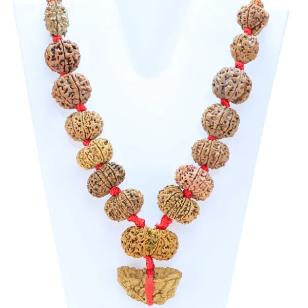 1 to 14 Mukhi Rudraksha Mala ( Siddha Mala ) - 40.1726mm - Rudraksha Zoom Image