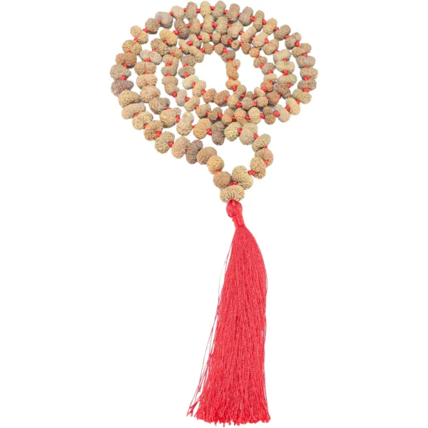 16 Mukhi Indonesian Mala - Rudraksha Zoom Image