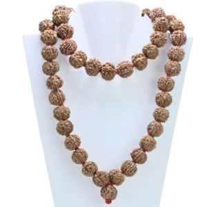 7 Mukhi Nepali Kantha ( 18-20mm ) - Rudraksha Zoom Image