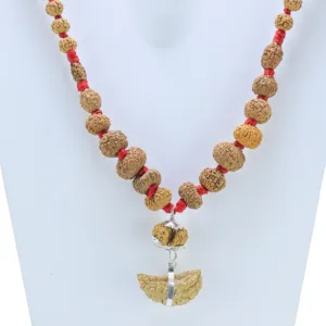 1 to 14 Mukhi Rudraksha Mala ( Siddha Mala ) - Certificate: DCL/2026/B/0022 - Rudraksha Zoom Image