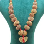 1 to 14 Mukhi Rudraksha Mala ( Siddha Mala ) with Sawar - Rudraksha Zoom Image