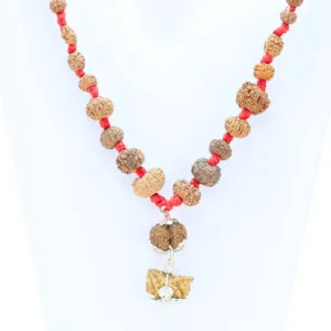 1 to 14 Mukhi Rudraksha Mala with Double Ganesh ( Siddha Mala Indonesian ) - Rudraksha Zoom Image