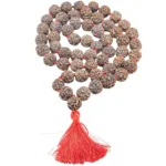 3 Mukhi Nepali Kantha (14 - 16mm) - Rudraksha Zoom Image