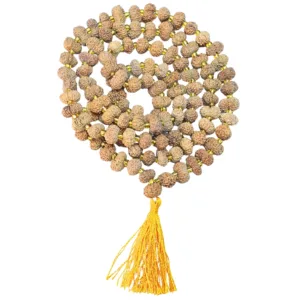 14 Mukhi Indonesian Mala - Certificate: DCL/2026/B/0264 - Rudraksha Zoom Image