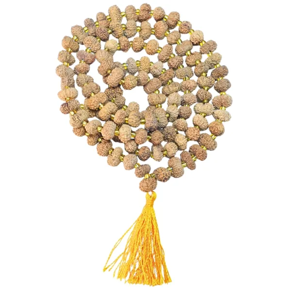 14 Mukhi Indonesian Mala - Certificate: DCL/2026/B/0264 - Rudraksha Zoom Image