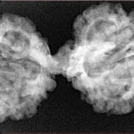 8 MK Gaurishankar 39.8mm 6.3gm - Xray