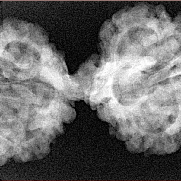 8 MK Gaurishankar 39.8mm 6.3gm - Xray