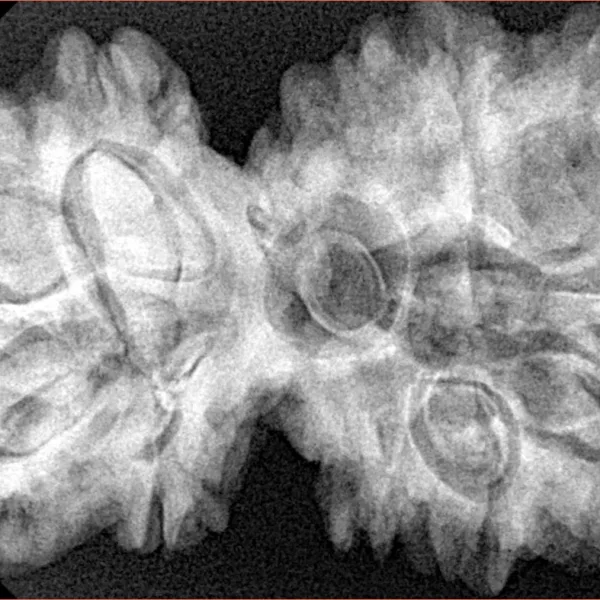 10 Mk Gaurishankar 40.1mm 9.31gm - Xray