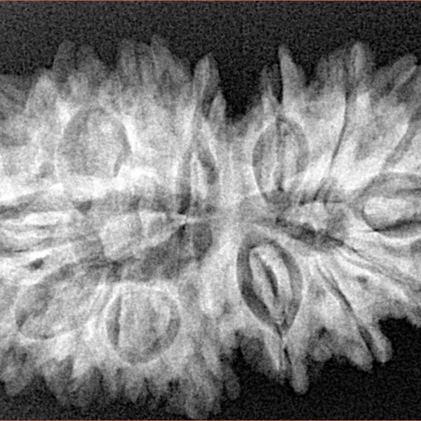 16 MK Gaurishankar 34.8mm 5.92gm - Xray
