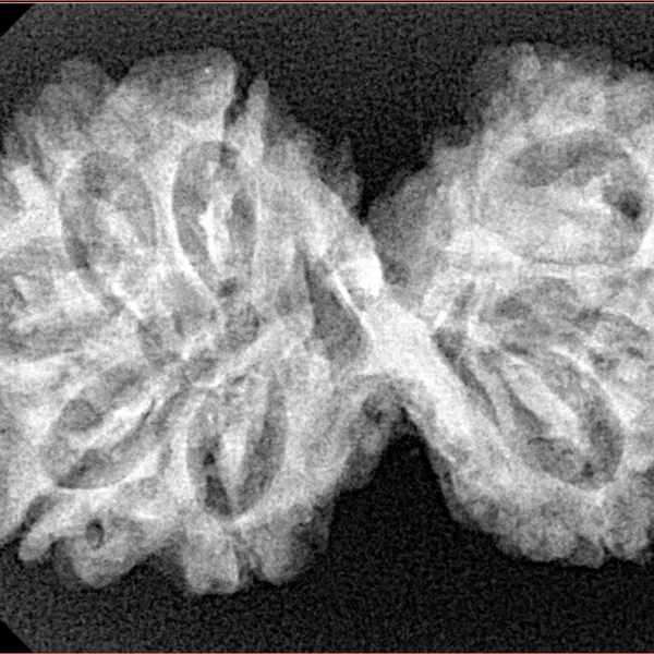 9 MK Gaurishankar 34.4mm 5.3gm - Xray