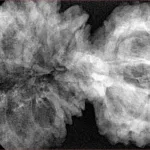 19 MK Gaurishankar 46.2mm 9.27gm - Xray
