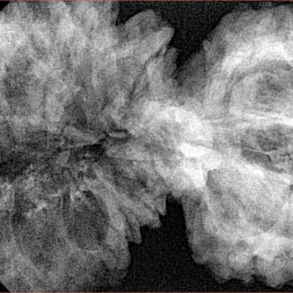 19 MK Gaurishankar 46.2mm 9.27gm - Xray