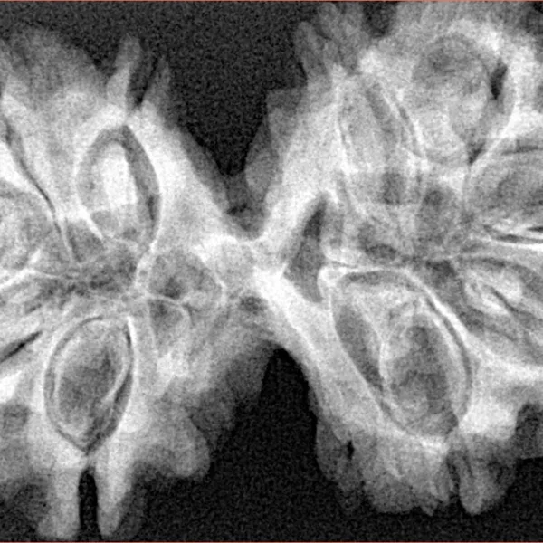 10 Mk Gaurishankar 40.2mm 7.63gm - Xray