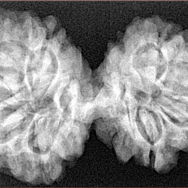 9 MK Gaurishankar 37.6mm 6.56gm - Xray