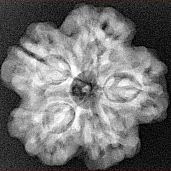 1MK(Underdeveloped) 24.6mm 4.84gm - Xray