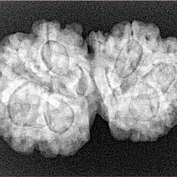 7 Mukhi G.S & Ganesh 30.3mm 5.13gm - Xray