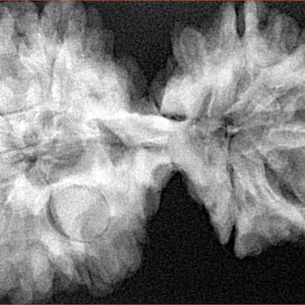 10 Mk Gaurishankar 40.1mm 8.13gm - Xray