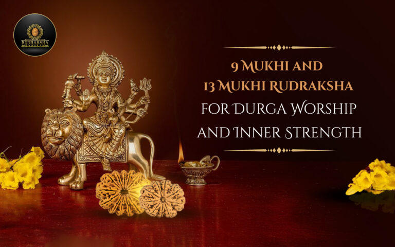 9 Mukhi and 13 Mukhi Rudraksha for Durga Worship and Inner Strength
