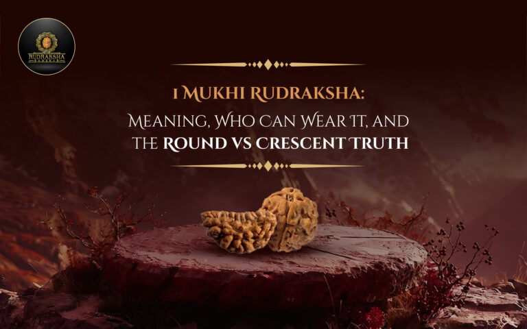 1 Mukhi Rudraksha: Meaning, Who Can Wear It, and the Round vs Crescent Truth