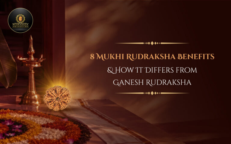 8 Mukhi Rudraksha Benefits & How It Differs from Ganesh Rudraksha