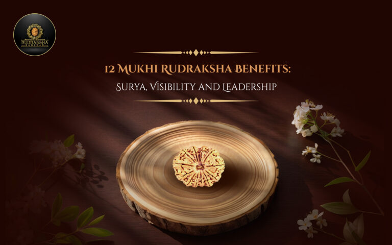 12 Mukhi Rudraksha Benefits: Surya, Visibility and Leadership 