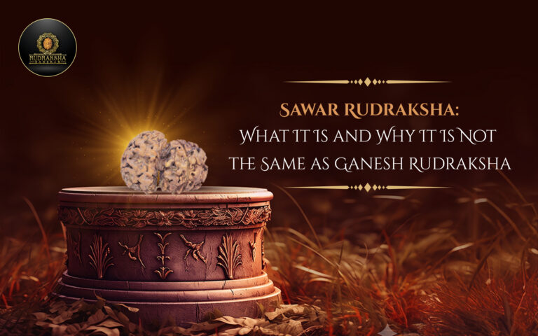 Sawar Rudraksha: What It Is and Why It Is Not the Same as Ganesh Rudraksha