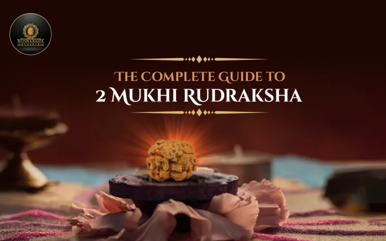 The Complete Guide to 2 Mukhi Rudraksha 