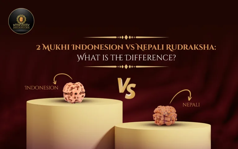 2 Mukhi Indonesian vs Nepali Rudraksha: What Is the Difference? 