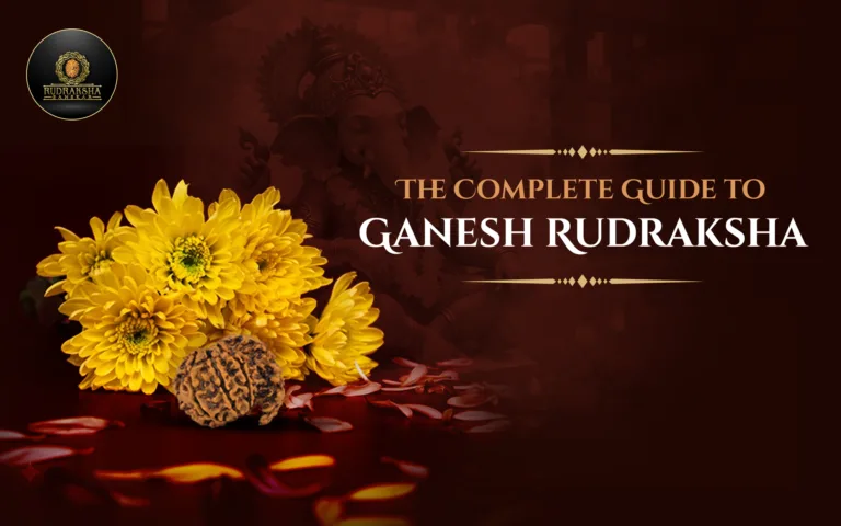 The Complete Guide to Ganesh Rudraksha