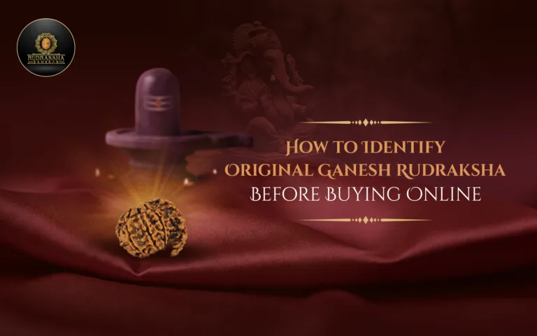 How to Identify Original Ganesh Rudraksha Before Buying Online