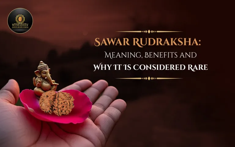 Sawar Rudraksha: Meaning, Benefits and Why It Is Considered Rare