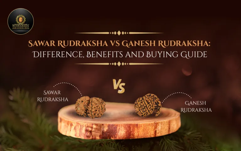Sawar Rudraksha vs Ganesh Rudraksha: Difference, Benefits and Buying Guide