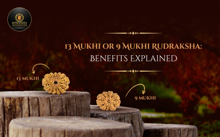 13 Mukhi or 9 Mukhi Rudraksha: Benefits Explained 