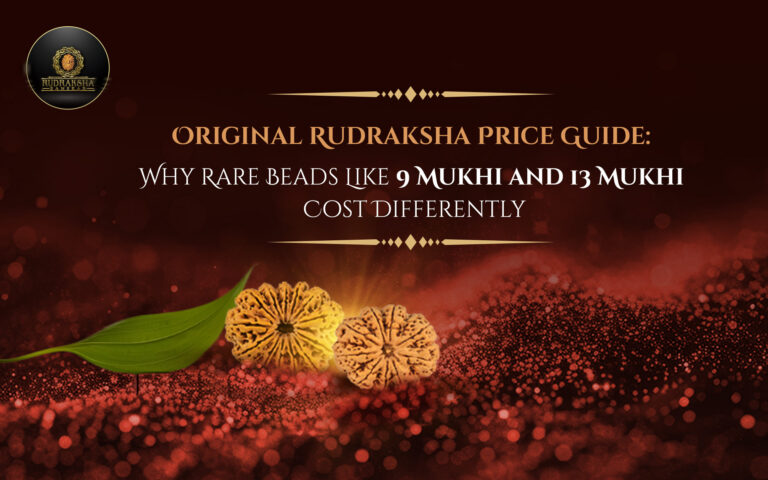 Original Rudraksha Price Guide: Why Rare Beads Like 9 Mukhi and 13 Mukhi Cost Differently