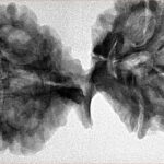 9 Mukhi Mini Trijuti 42.7mm 7.94gm - Inverse xray