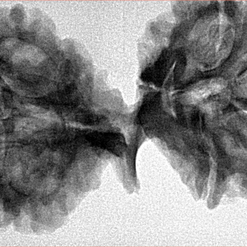 9 Mukhi Mini Trijuti 42.7mm 7.94gm - Inverse xray