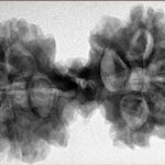 9 Mukhi Mini Trijuti 39.6mm 7.85gm - Inverse xray