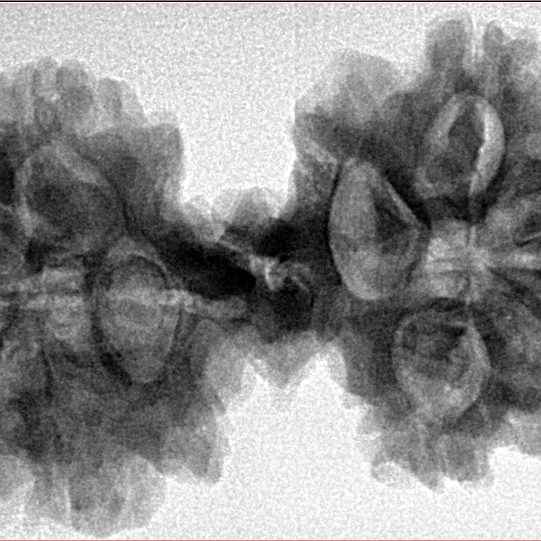 9 Mukhi Mini Trijuti 39.6mm 7.85gm - Inverse xray
