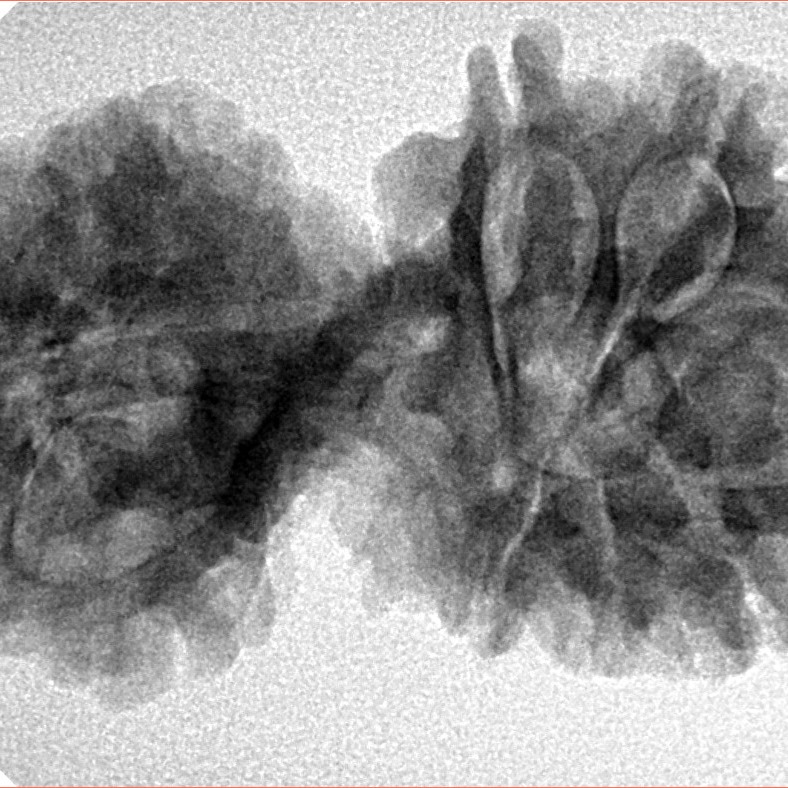 11 Mukhi Mini Trijuti 35mm 5.63gm - Inverse xray